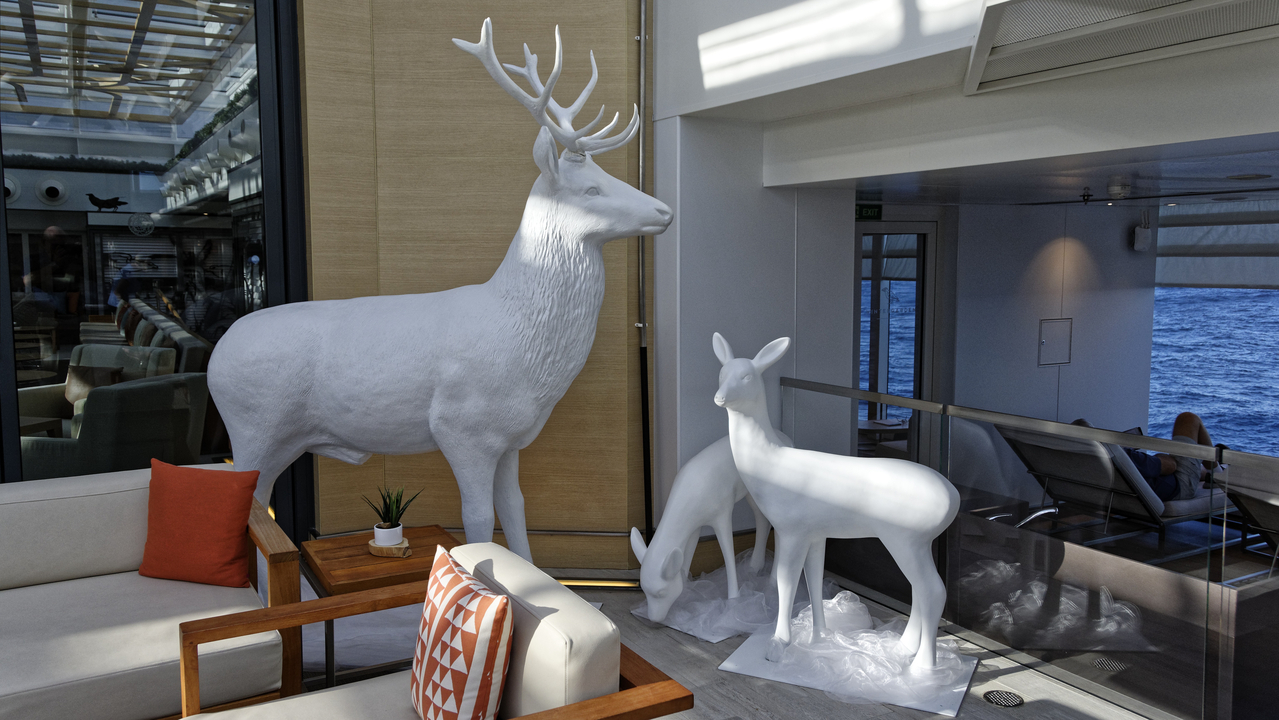 20191217 102652•Lisbon-Medeira•Atlantic Ocean•Portugal